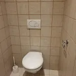 Sunflower Apartment Prag