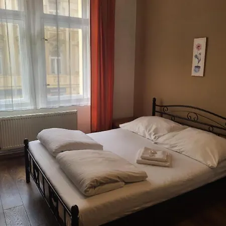 Sunflower Prag
