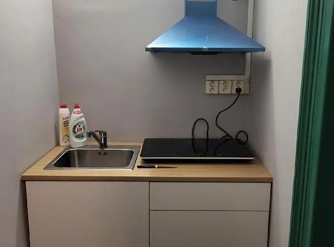 Sunflower アパート プラハ