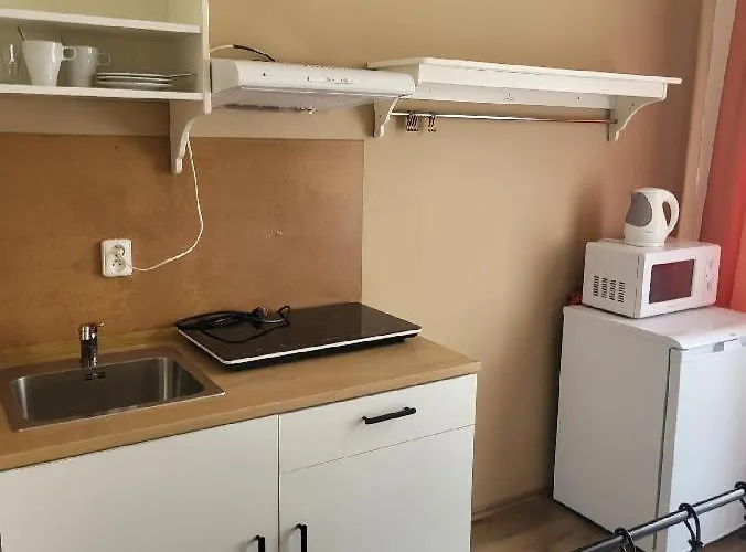 Sunflower * プラハ